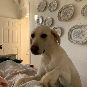 Meet your Posher, Dorie